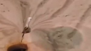 1000258022.mp4