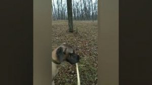 Холли команда АПОРТ