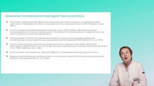KISELNIKOVA_22_07_25_V3