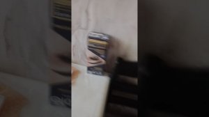 обзор дома