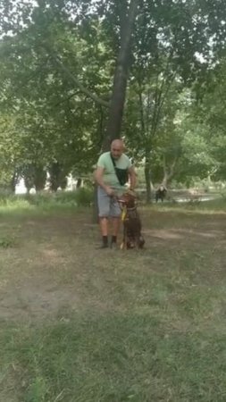 Тренировка