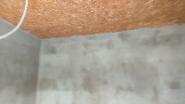 video5195406184584081069