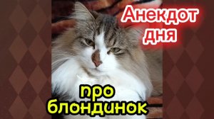 Анекдот дня про блондинок.