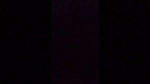 страшная история ( мишка Тедди)