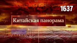 Сотрудничество Китай – ЕС, новый подход к экспорту, с заботой о детях, общая память – (1637)
