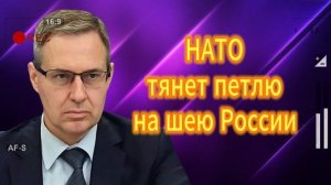 НАТО тянет петлю на шею России. Ариамонов  25.07.2025