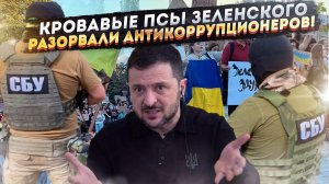 Американская ВЕРТИКАЛЬ РУХНУЛА! Зеленский ВЫШИБАЕТ кураторов: НАБУ и САП под ШТУРМОМ!