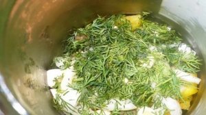 Быстрые маринованные грибы