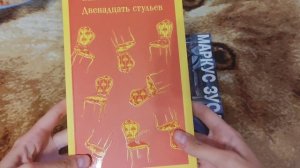 Обзор на новые книги: Книжный вор и Двенадцать стульев
