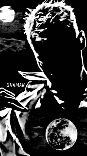 Лунное танго - SHAMAN #shaman #волгошам
