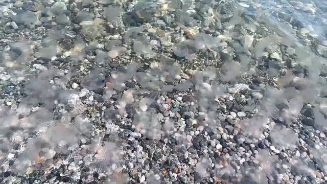 ОТДЫХ В АБХАЗИИ