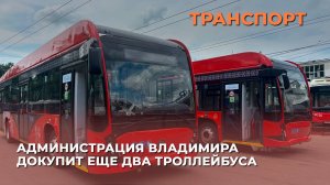 Администрация Владимира докупит еще два троллейбуса