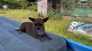 Вы знаете наши летние вечера…., но не знаете, что происходило за кадром. Дом на юге