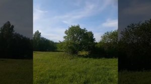 Прогулка по деревне Нужна