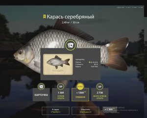 РУССКАЯ РЫБАЛКА 4 РР4 ТРОФЕЙНЫЙ СЕРЕБРЯННЫЙ КАРАСЬ ДЛЯ НОВИЧКОВ КОМАРИНОЕ