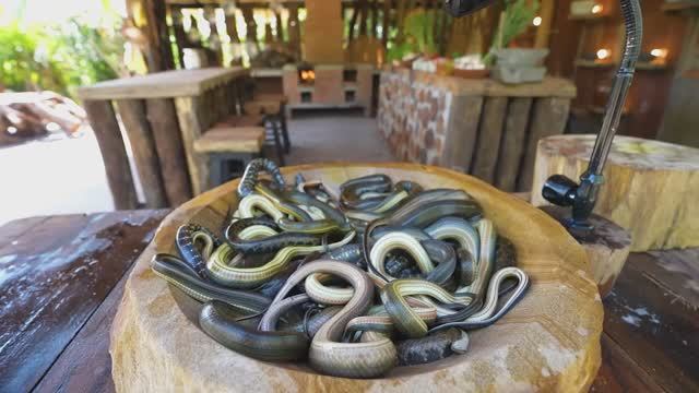 Приготовление змеи и жареного угря с имбирем. Кухня Сингапура