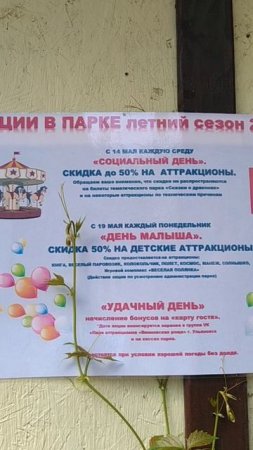 Парк "Винновская роща" в Ульяновске 23.07.2025