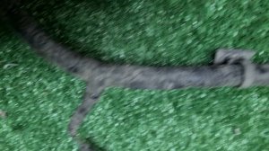 8006356