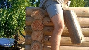 Постройка бани РОДа Труновых. ⚡😊🌞 2.9 Сруб. 25.07.25 Венцы 12 и 13 готовы.