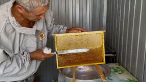 Наши 28 соток на юге | Качаем мед, вялим помидоры | Установили кондиционер в погреб