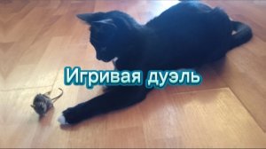 Игривая дуэль © Виктория Полшкова 2025