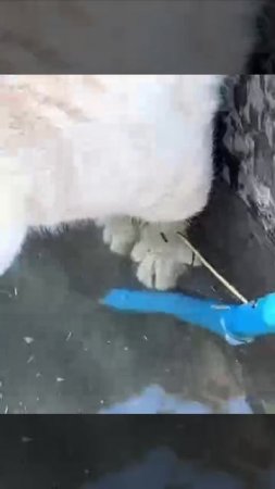 VID_20250725_192431_290.mp4
