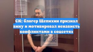 СК: блогер Щепихин признал вину и мотивировал ненависть конфликтами в соцсетях