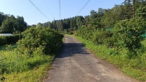 Магнолия