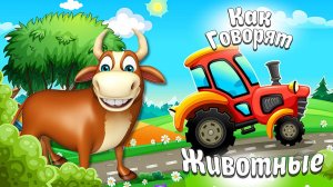 КАК ГОВОРЯТ ЖИВОТНЫЕ +  ЗВУКИ И ГОЛОСА ЖИВОТНЫХ  + РАЗВИВАЮЩИЕ МУЛЬТИКИ ДЛЯ ДЕТЕЙ + КАРТОЧКИ ДОМАНА