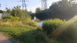 Магнолия