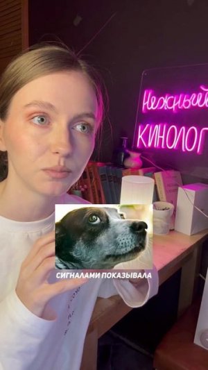 Собака не дает стричь когти #кинолог #собака #суперсобака #животные #кинология #кинологсоветы