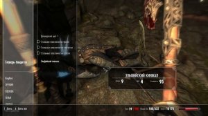 The Elder Scrolls V: Skyrim