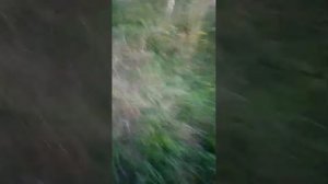наши приключения