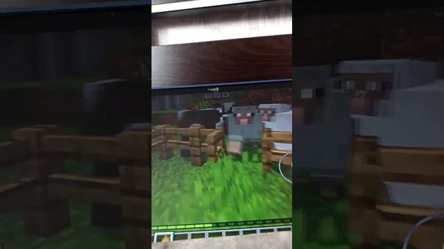 играю в minecraft и отвечаю на ваши вопросы