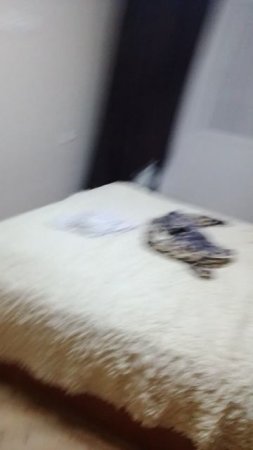 1000001471.mp4