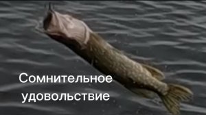 Мокрая рыбалка. Не особо, хотя дождь люблю. Тактика