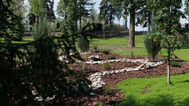 В Парке Победы на Соколовой горе Саратова завершились работы по озеленению