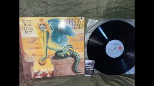 Amanda Lear – Never Trust A Pretty Face LP Germany1979 оцифровка виниловой пластинки без обработки