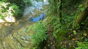 НЕ ТУРИСТИЧЕСКИЙ ГЕЛЕНДЖИК: ВОДОПАД ХВОСТ ДРОЗДА И ДИКИЕ ТРОПЫ - Скрытая Жемчужина