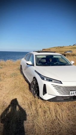 Changan Lamore