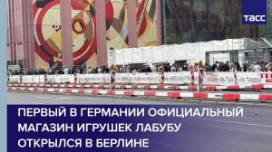 Первый в Германии официальный магазин игрушек Лабубу открылся в Берлине