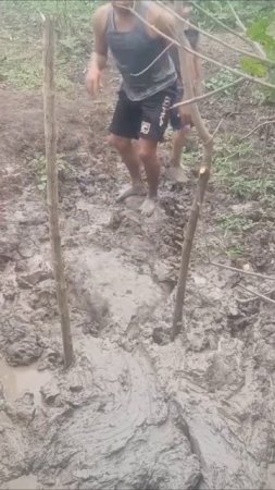 Сорванцы