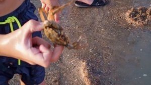 video_2025-06-08_20-19-52