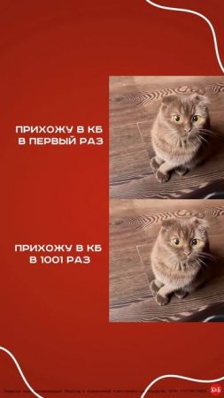 Каждый раз❤🤍
