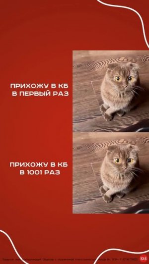 Каждый раз❤🤍