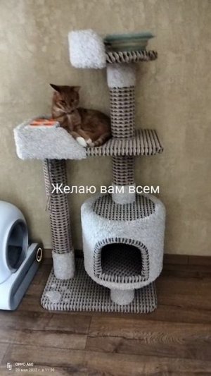 Тирибонька🥰