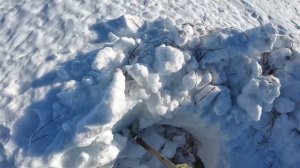 Серия 1 - Охота на гусей в якутии