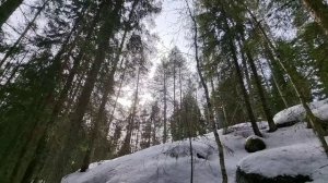 Чарующий сильный шум зимнего леса. Релакс на красотах России. Медитация.
