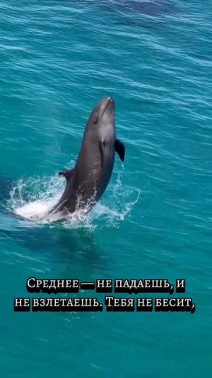 тенденции дня
