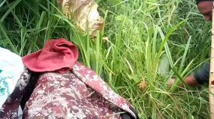 родник# серия1